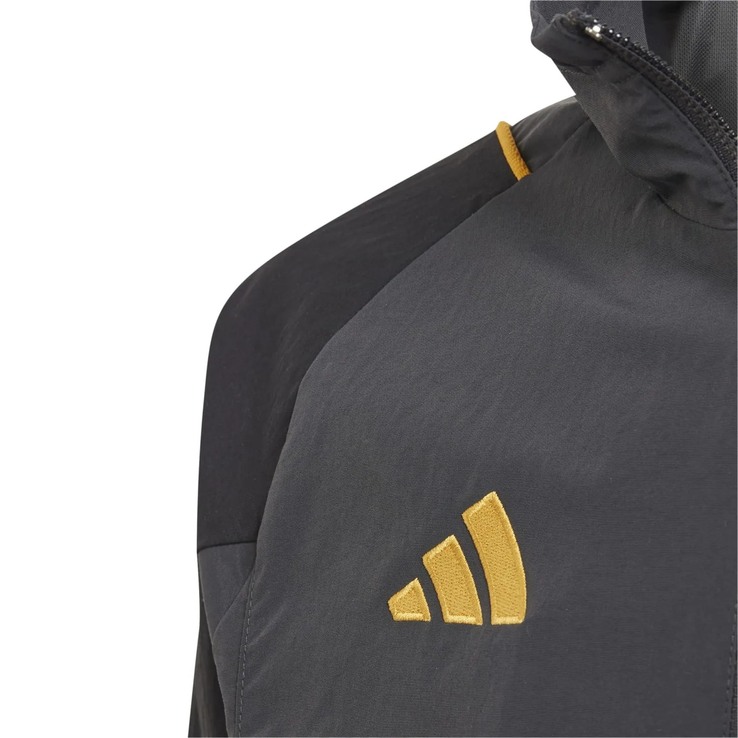 Chaqueta Chándal adidas Niños Entrenamiento UCL 23/24