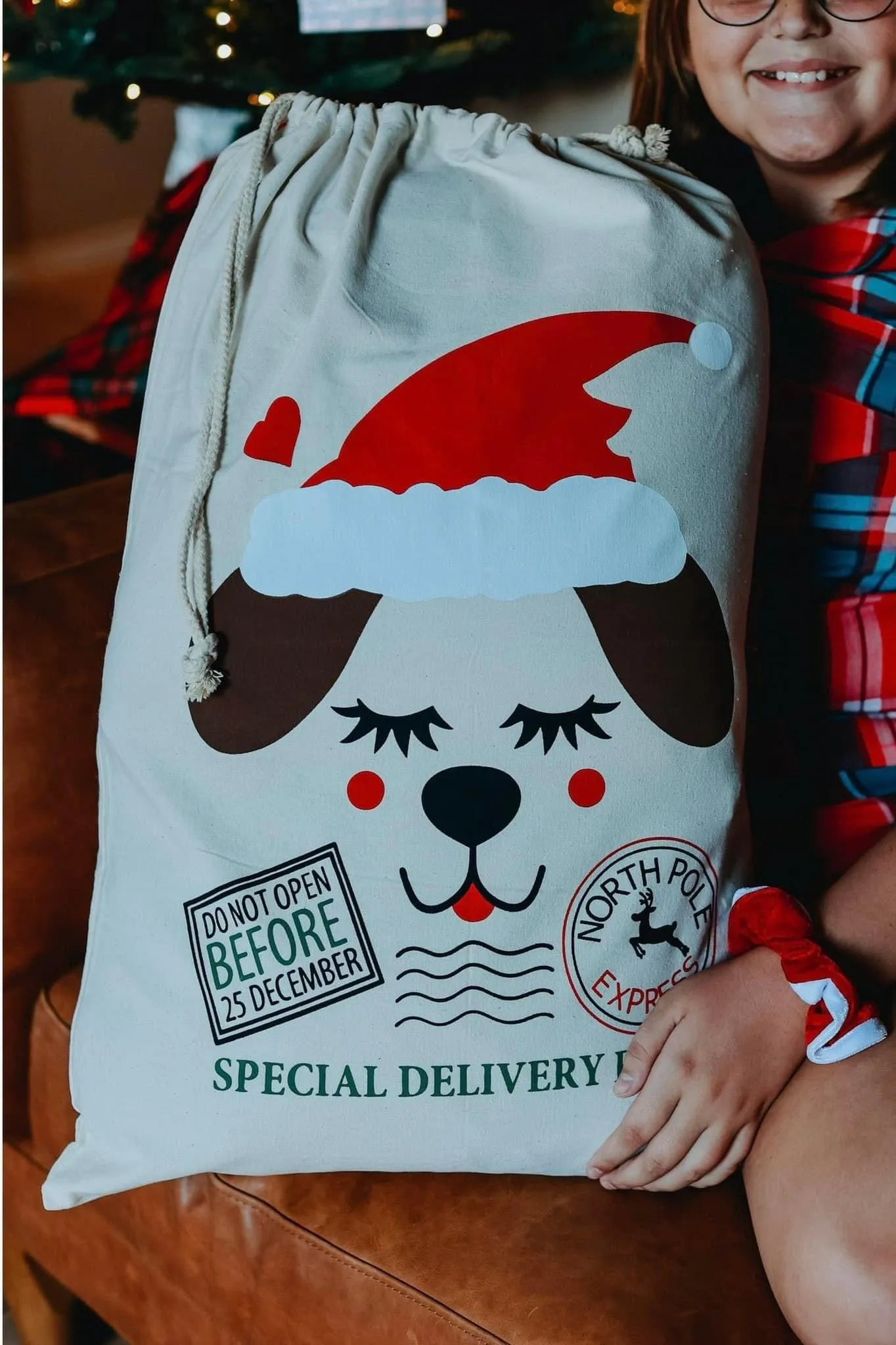 Santa Sacks